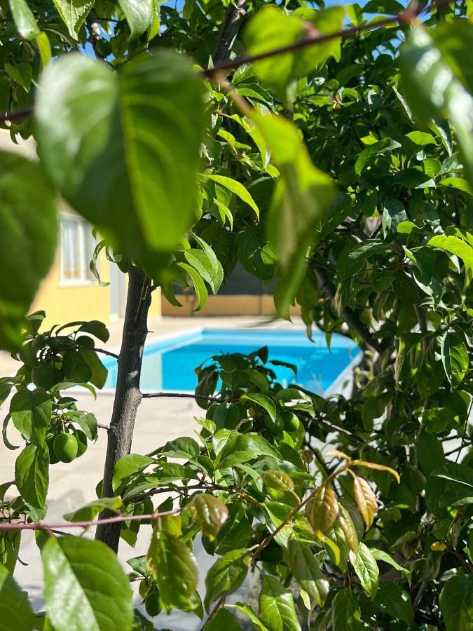 Casa Vacanze Mare Fuori 카포텔라 외부 사진